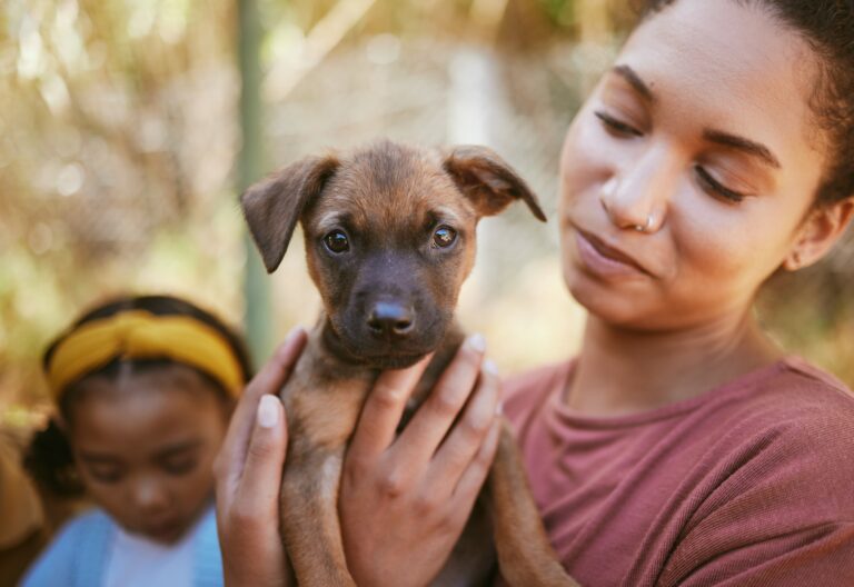 Dog, woman and hands holding puppy in love for adoption, life or bonding by animal shelter. Happy f